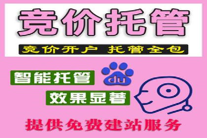 百度优化推广案例：案例分析及优化方案